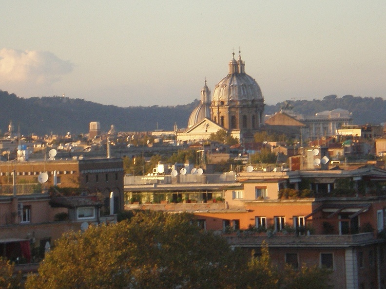 337arden of Oranges.JPG